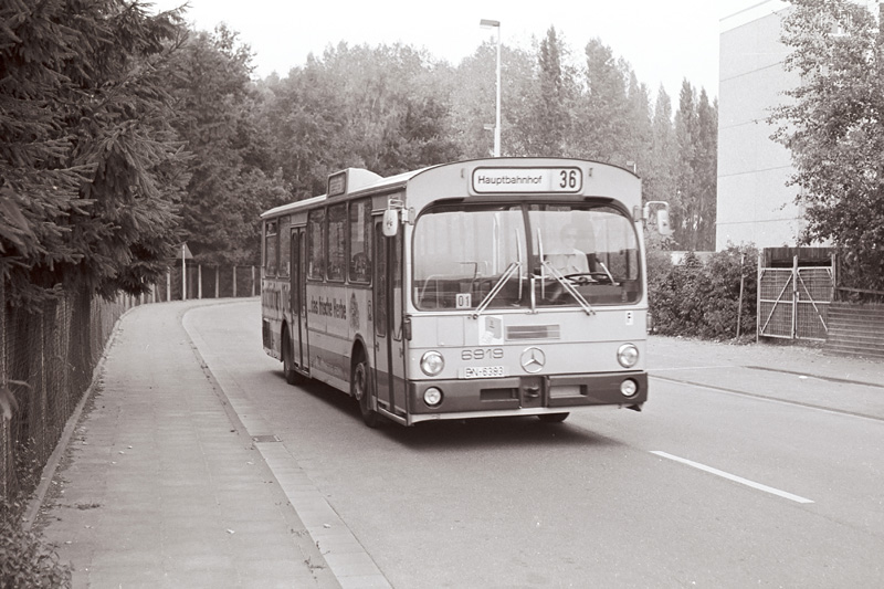 6919_2125.jpg